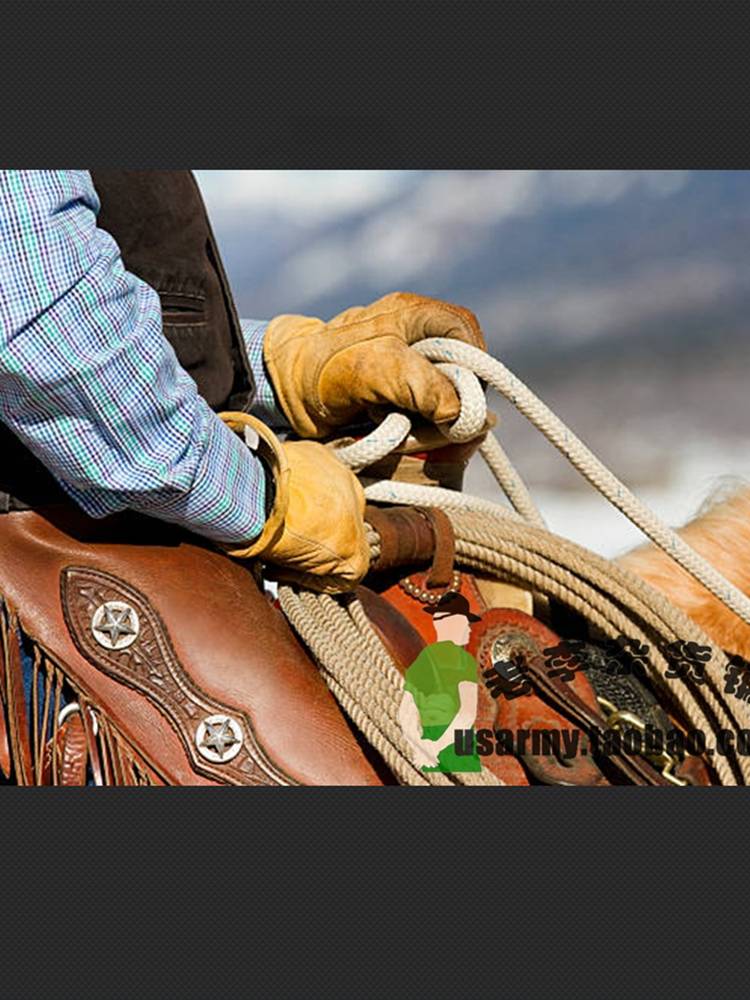 THE WEST COWBOY'S RANCH WORKS ON A HORSE CAMP, CHOPPING UP A WOOD BIKE, HEAD-ON CATTLE SKIN PROTECTION ML CODE