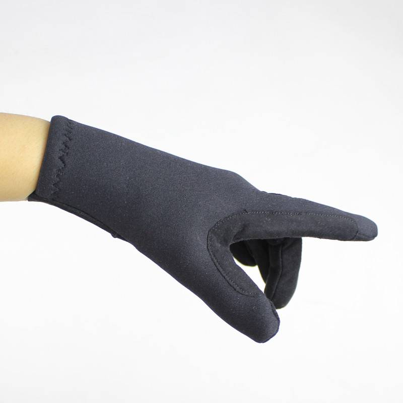 Accompaniment for a professional horse mitt