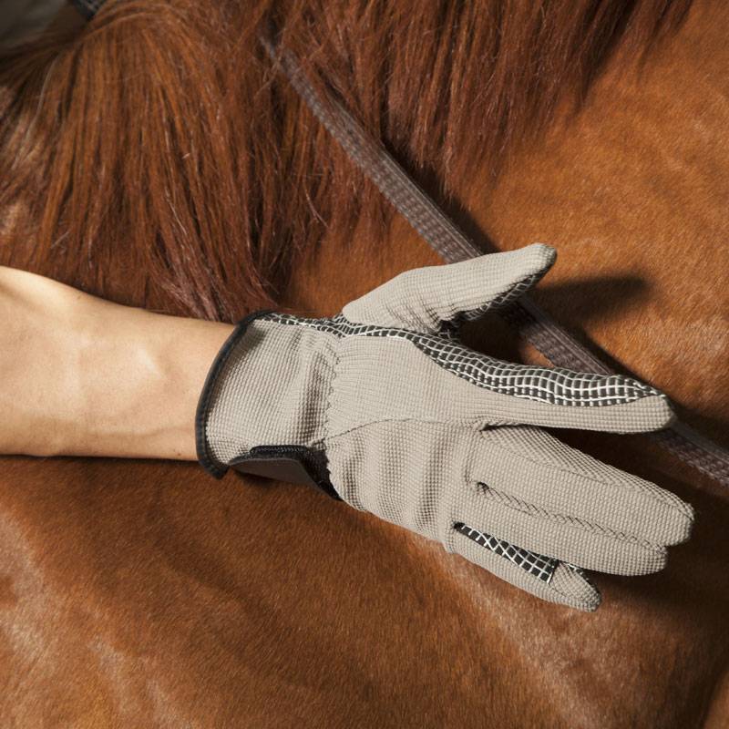 Eight -foot dragon riding gloves breathable men's and female equestrian gloves with buckle riding equipment equestrian supplies