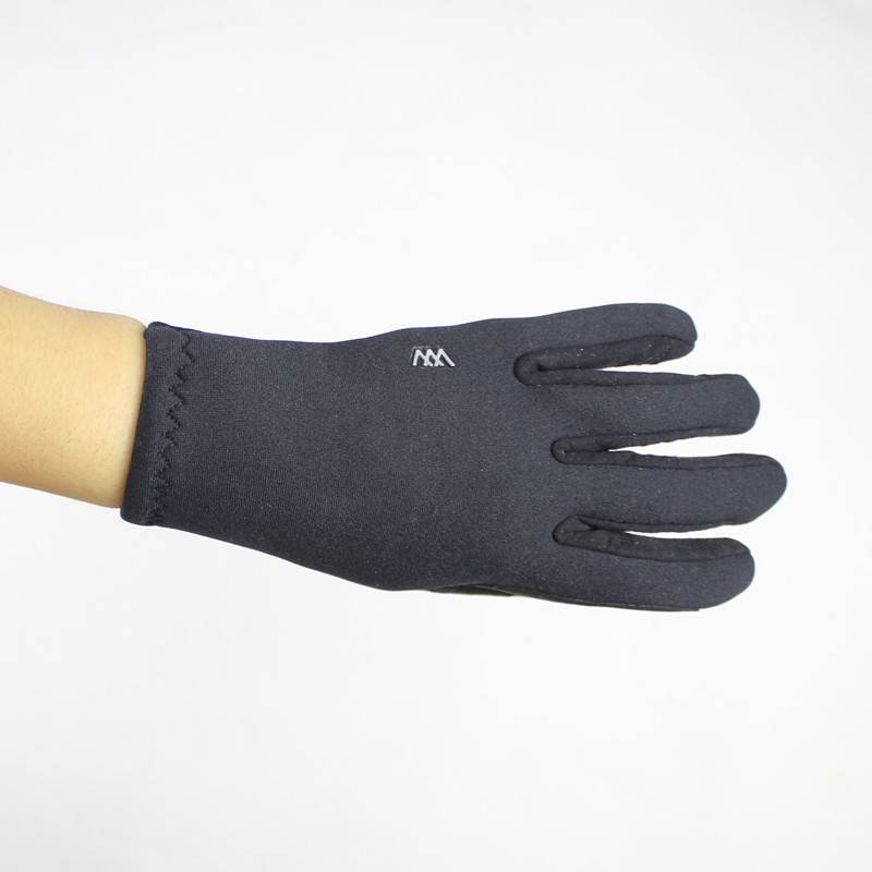 Accompaniment for a professional horse mitt