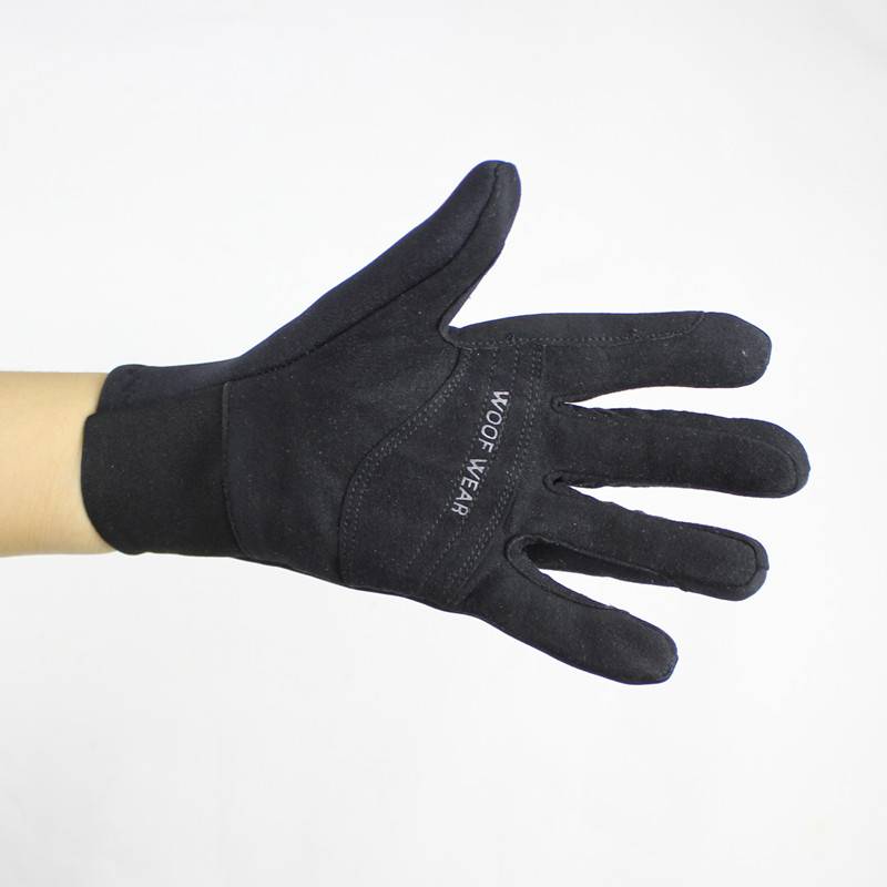 Accompaniment for a professional horse mitt