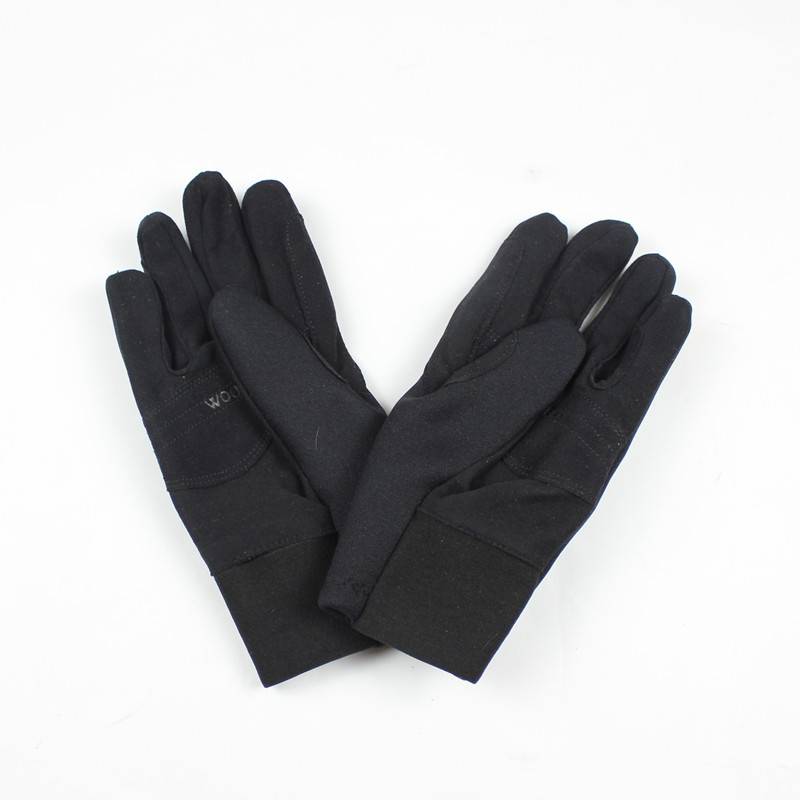 Accompaniment for a professional horse mitt