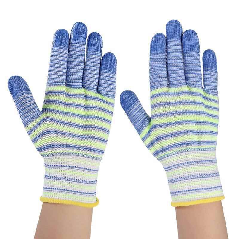 Blue zebra 2 doubles for children aged 3-12