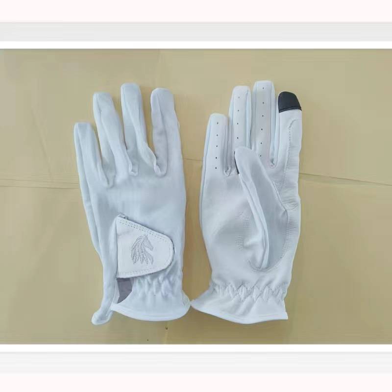 Adults of horse-pattering equipment, male and female, are given the right to ride a wind-proof glove in spring and autumn winter