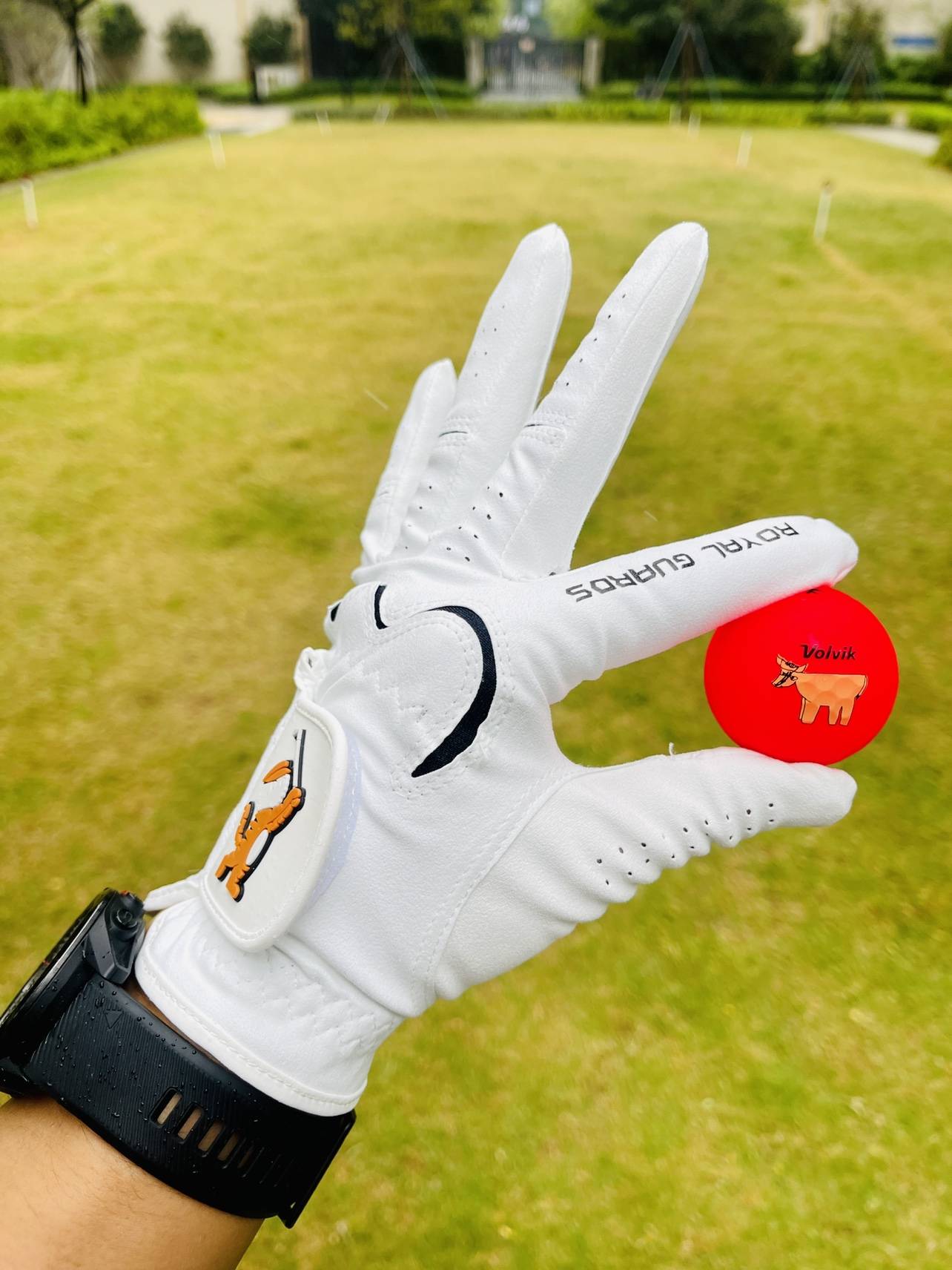 RG golf gloves Ryukyu glove nano -material glove wear -resistant gloves small tiger left hand gloves