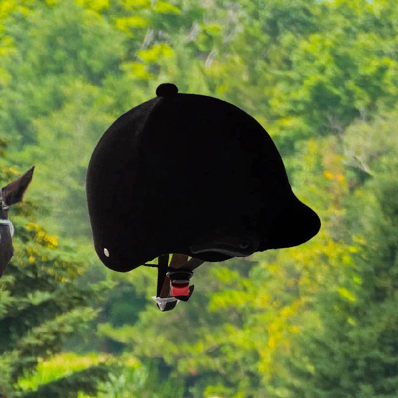 Horse helmets with children's horse helmets