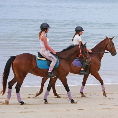 Phuket Riding Experience International Equestrian Club Beach Sunset Sea -Scenes Ride Picks away from Thailand