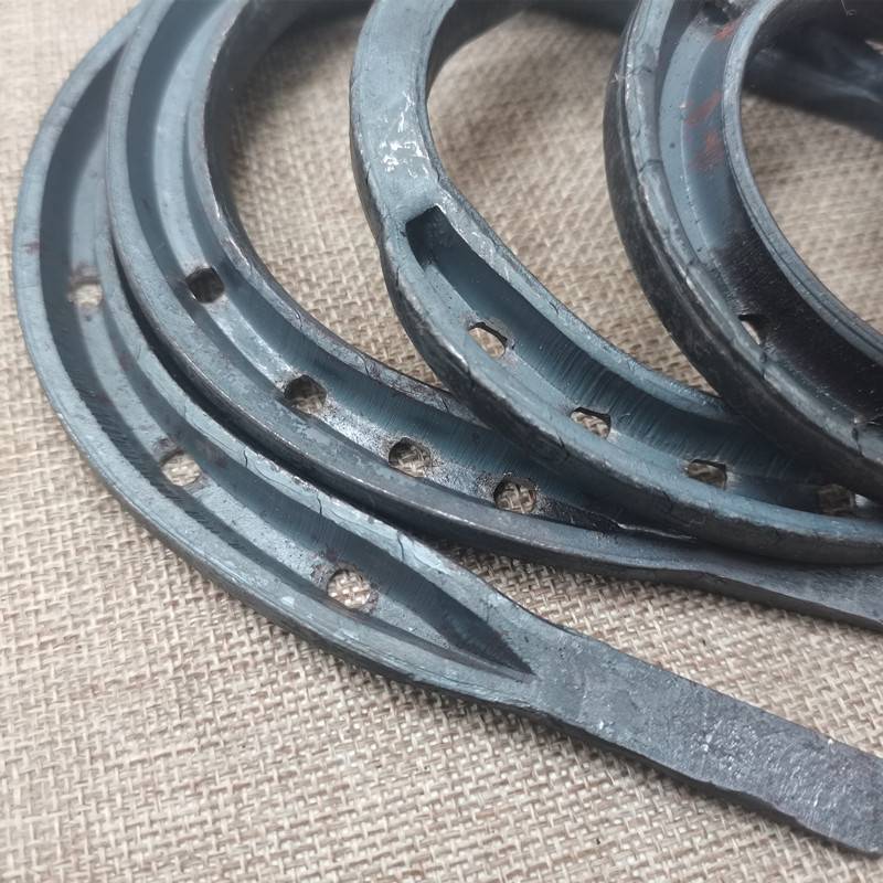Horse hooves, horse hooves, horse hooves