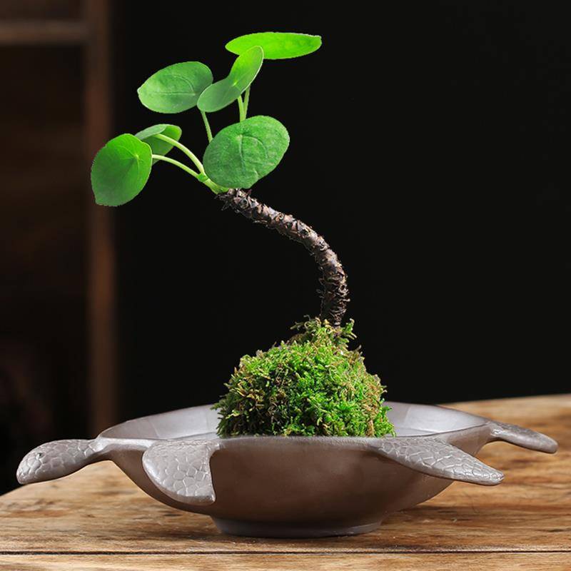 Brazilian moss ball flower pot green plant -free hydroponic hydraulic plant purple sand ceramic copper coin grass potting tray