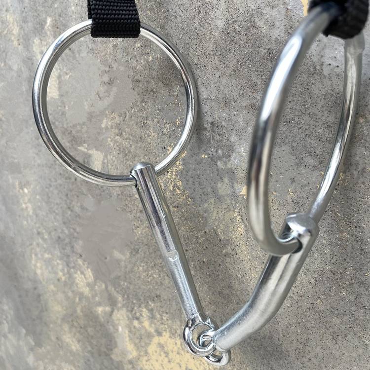 THE HORSE CHEWS THE RING OF IRON, THE OCTOPUS OF A HORSE