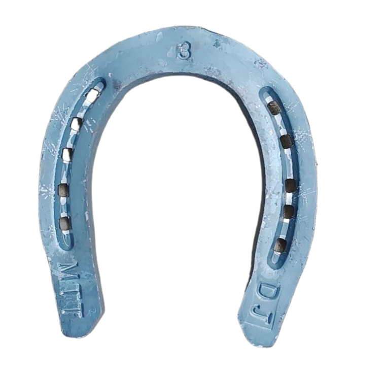Horseshoes and horseshoes