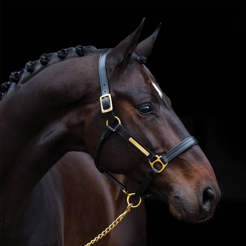 Cavassion's Barbal Procterstrigence (Silicone) Rockma Horse 8801061 color random delivery