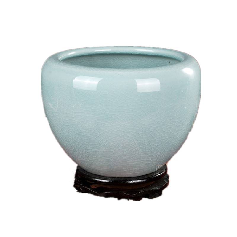 Jingde Town Bowl Lotus Basin Ceramics Special Hydroponic Hydroponic Pot Copper Coin Grass House Iron Tree Pot Phalaenopsis