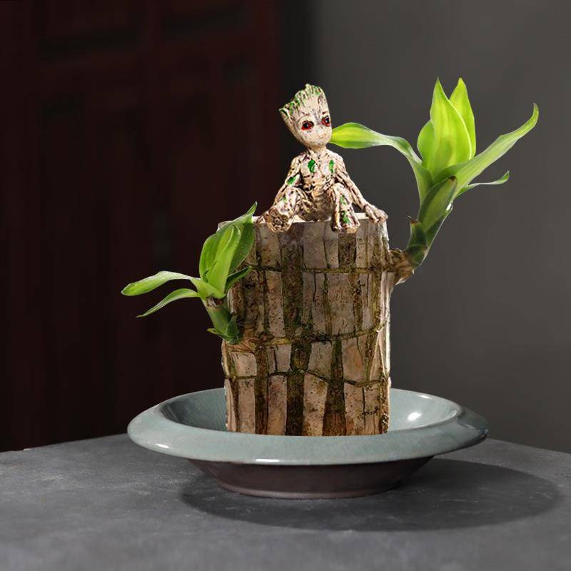 Hydroponic copper coin grass flower basin water raising moss ball Wettel;