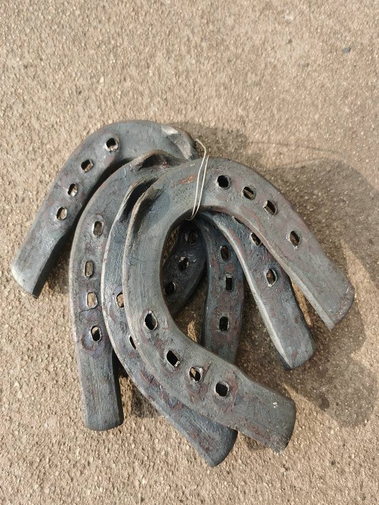 A horse's-shoe-shoe-shoe-shoe-shoe-shoe-shoe-shoe-shoe-shoe-shoe-shoe-shoe-shoe-shoe