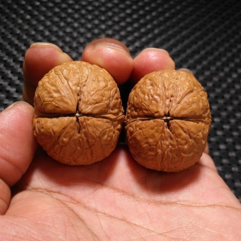 Yunnan Wild Wild Born Play Snake Skin Ball Pattordotic Bar Horses Horseshoe ingot Iron Walnut Small hand twisting and playing handle