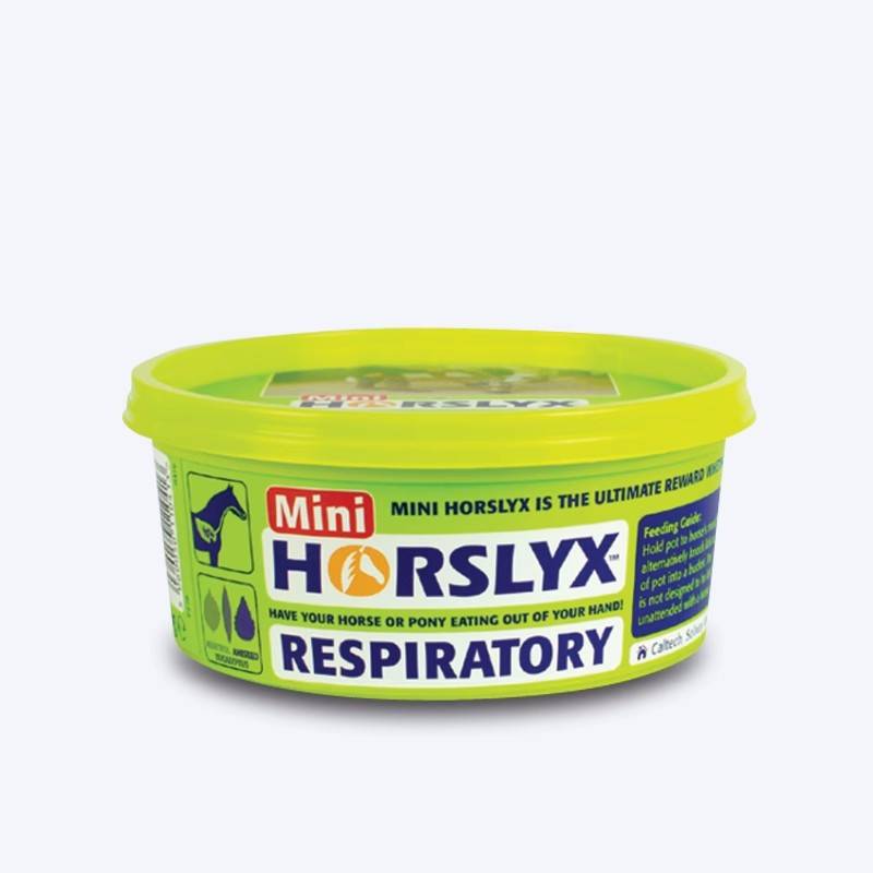 British horslyx horse lick snacks to enhance feelings and licking bricks licking sugar horses training