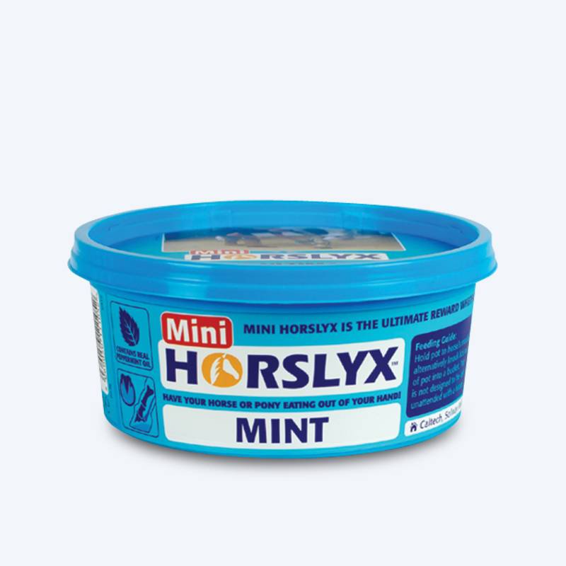 British horslyx horse lick snacks to enhance feelings and licking bricks licking sugar horses training