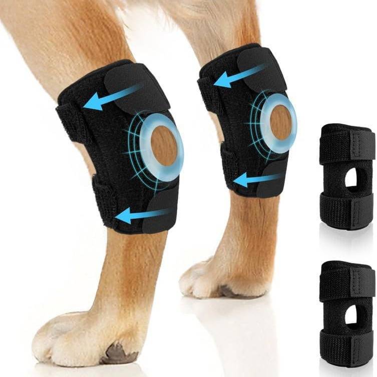 Pet dog hind legs support the protection of joint prevention and injury after the dog care supports the dog's arthrine protection ankle and ankle cover