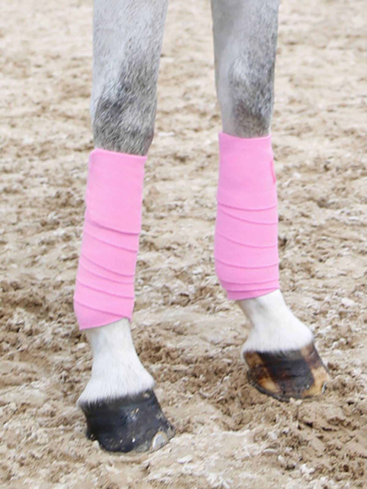The horse's leg bandage, the horse's leg, the horse's leg, the horse's horse's kit, the Rockyma's 8216005