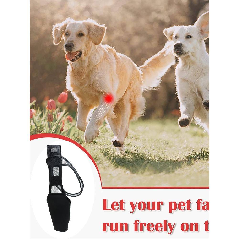 Dog fixed protective gear Holiliated disabled dog front leg assistant with dog legs lame knee injury and anti -dirty sleeve