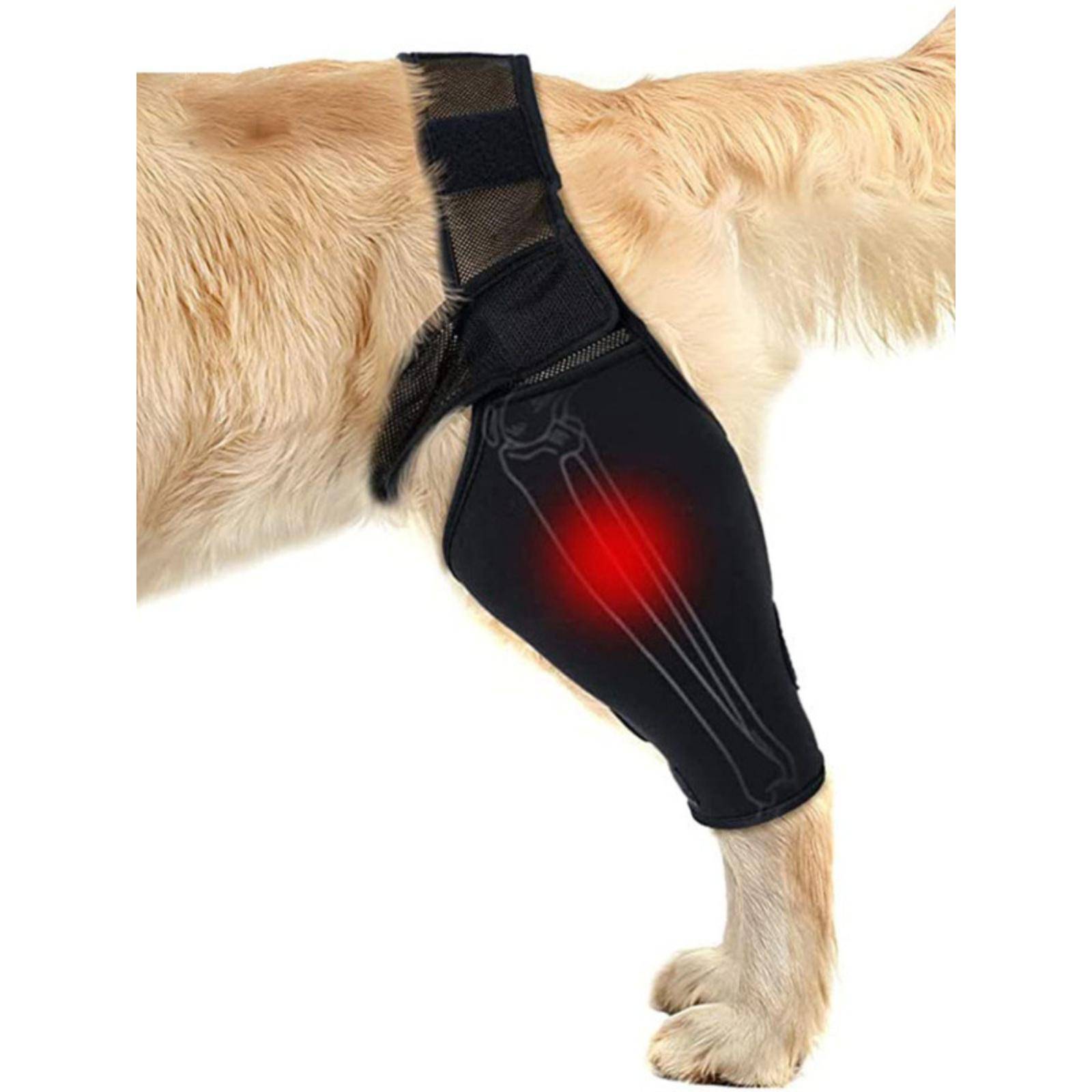 Dog fixed protective gear Holiliated disabled dog front leg assistant with dog legs lame knee injury and anti -dirty sleeve