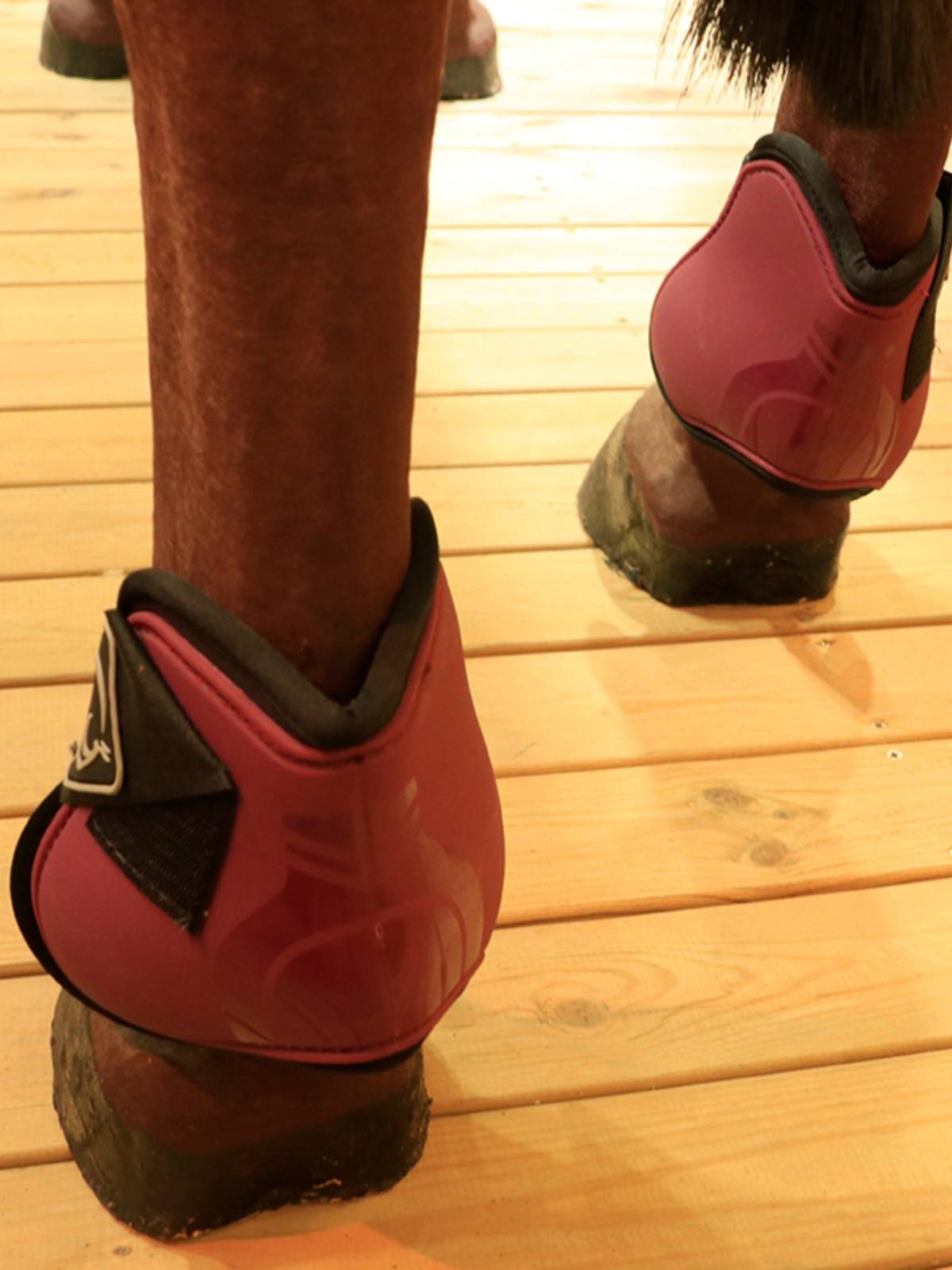 EPONA horses horsesho legs and horse -legged legs tie their legs to protect horse leg disorders, leg protection, legs, legs, equestrian supplies