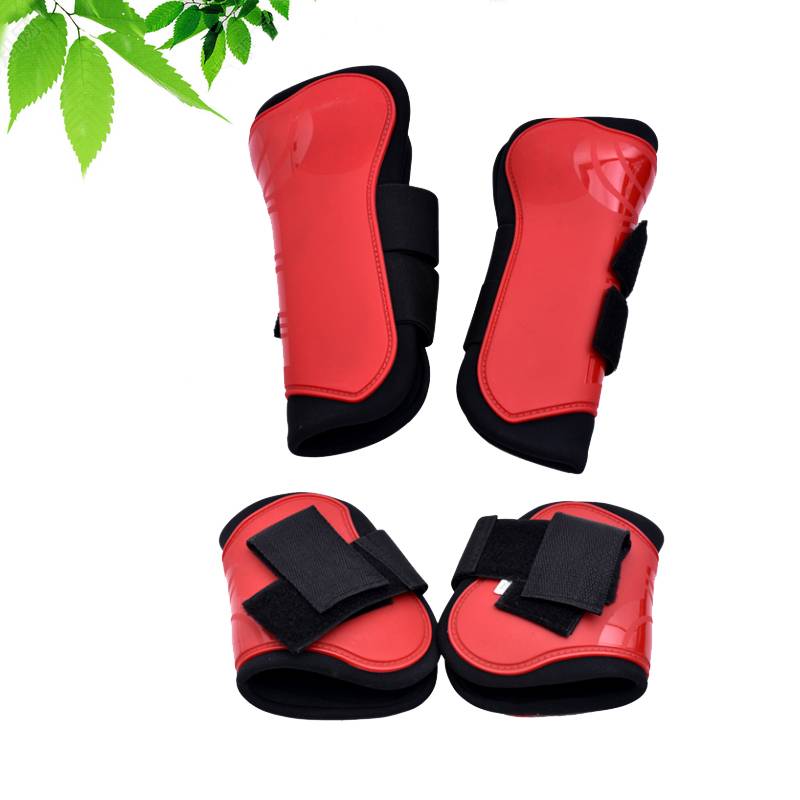 THE HORSE'S LEG AND LEG, THE HORSE'S PROTECTION ISG, THE BARRIER'S PROTECTION