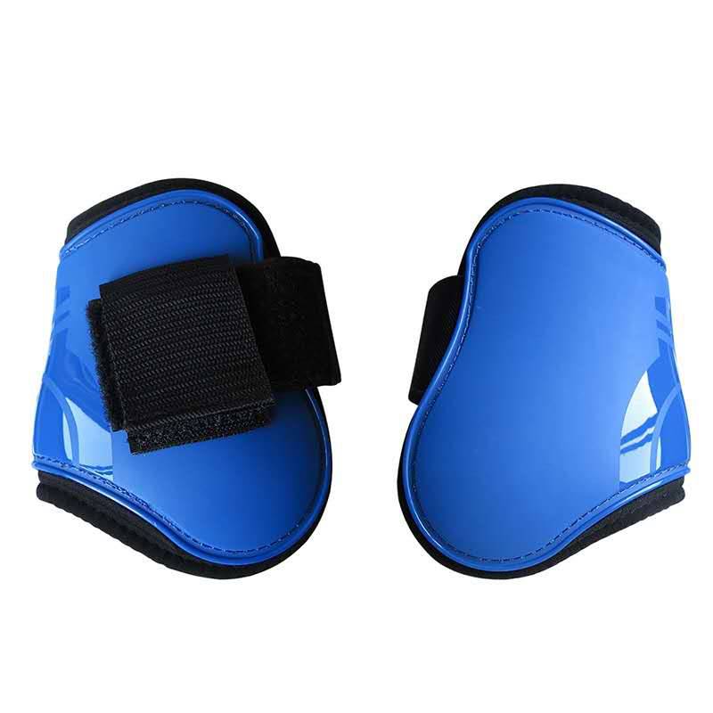 Blue rear legs