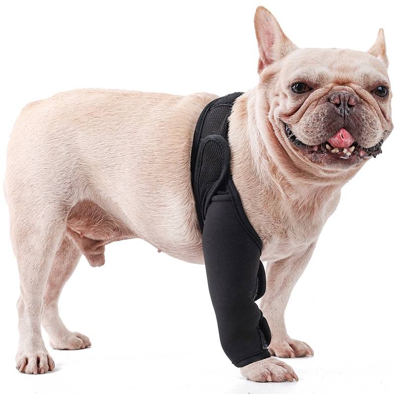 Pet front and rear leg fracture fix the dog thighs and elbow protective gear assisted lame leg care after injury protection