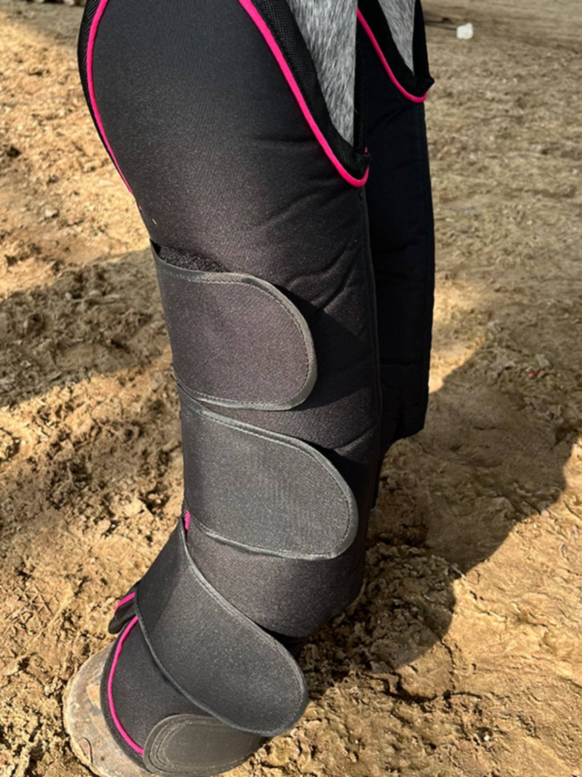 Epona horse transport leg protection equestrian legs protection horse legs horses products