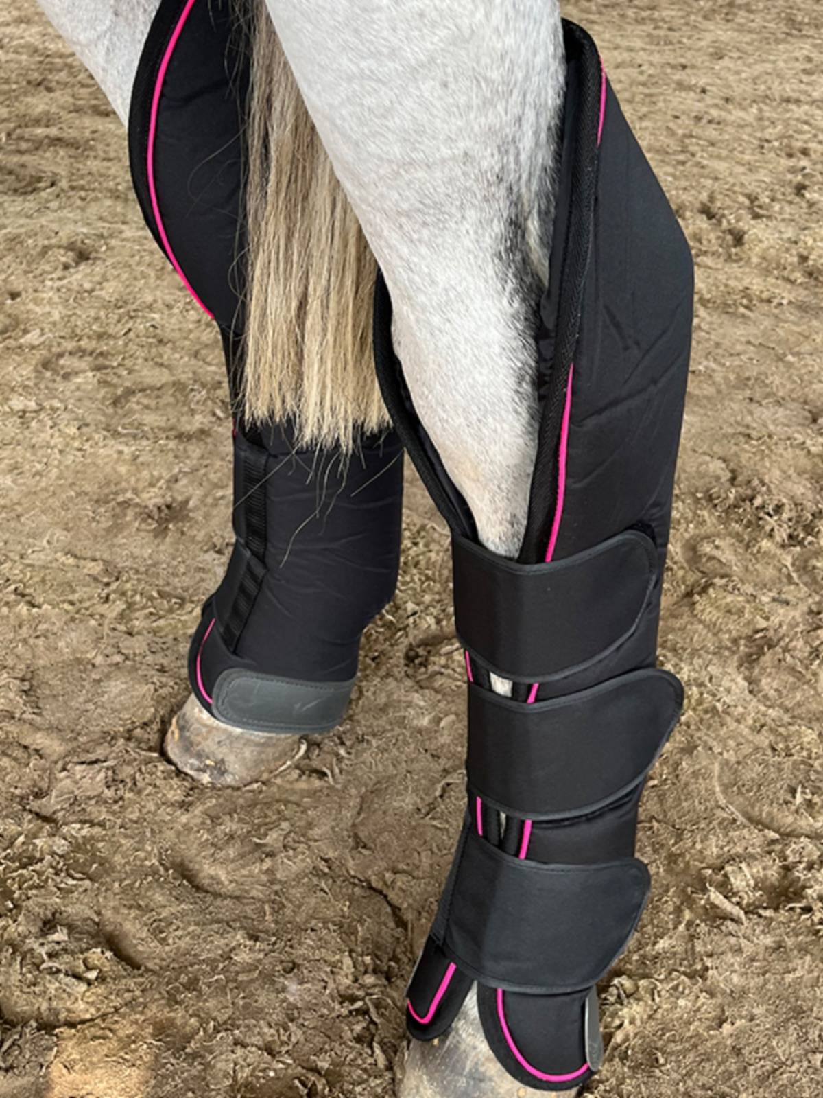Epona horse transport leg protection equestrian legs protection horse legs horses products
