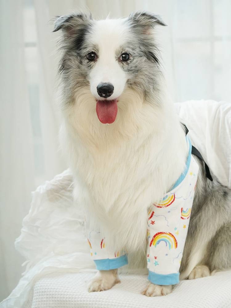 Pet big dog elbow clothing protects the joint elbow anti -gray and anti -lick large dog golden retraada Labrado knees