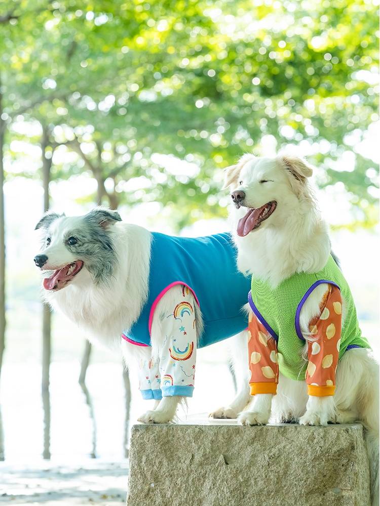 Pet big dog elbow clothing protects the joint elbow anti -gray and anti -lick large dog golden retraada Labrado knees