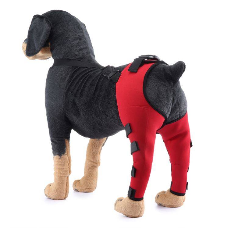 Pet hind legs, knee -legged dog -legged leggings, injury, protective set of bone dislocation dislocation, recover supporting suits after surgery