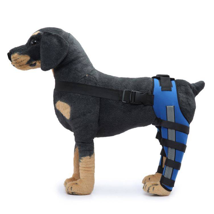 Pet hind legs, knee -legged dog -legged leggings, injury, protective set of bone dislocation dislocation, recover supporting suits after surgery