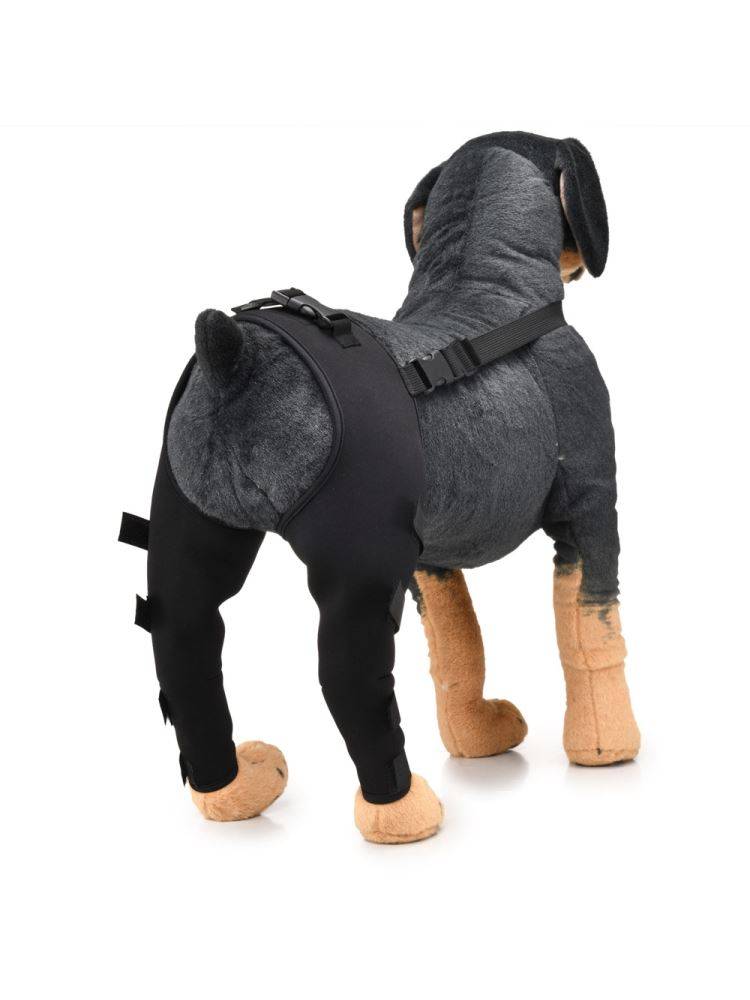 koreains pet, leg-protector, leg-protective protection, post-remobilization