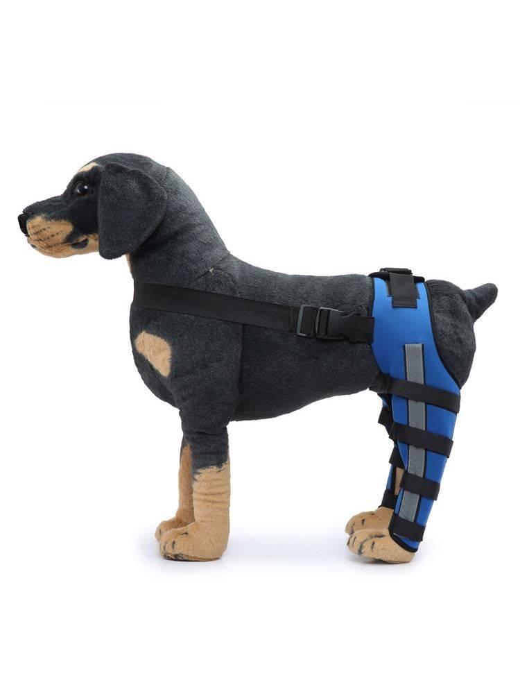 koreains pet, leg-protector, leg-protective protection, post-remobilization