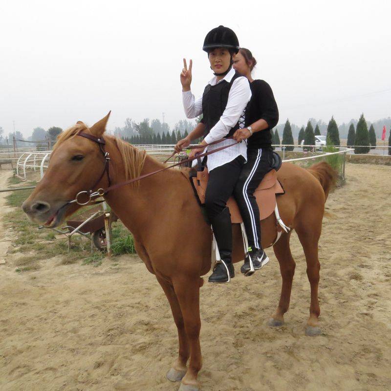 Horse helmets, leg gloves, horse boots, horsepowders, horsepowder equipment for boys and girls