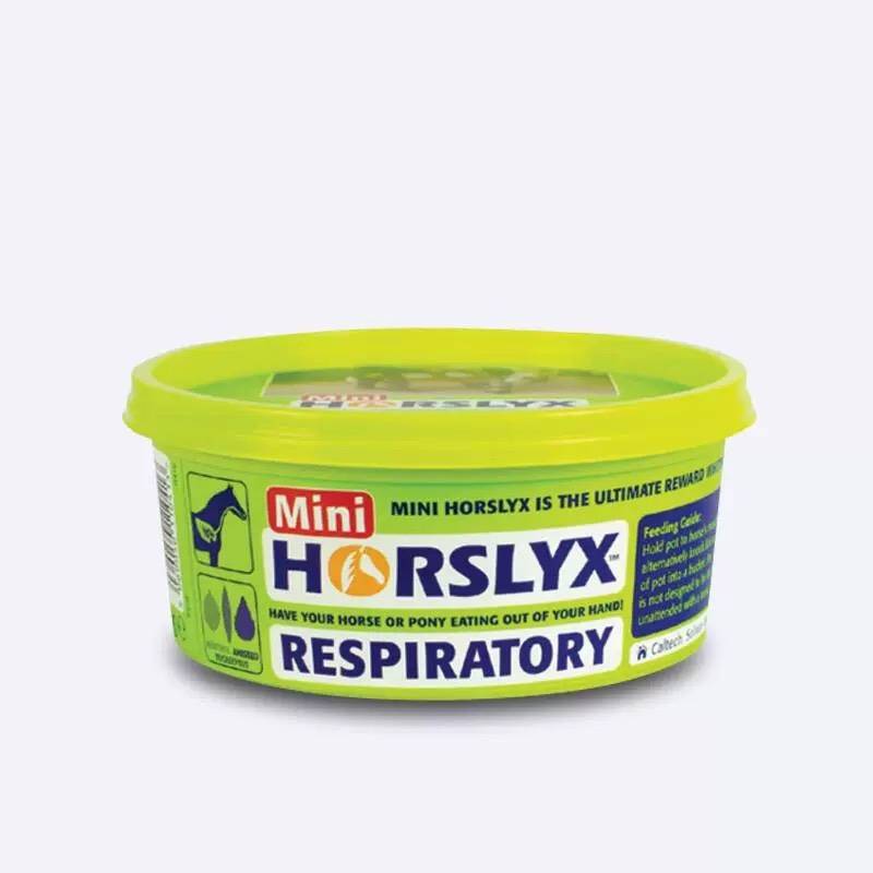 British horslyx horse licking bricks and licking sugar ore, sugar vitamin training reward snacks to enhance feelings