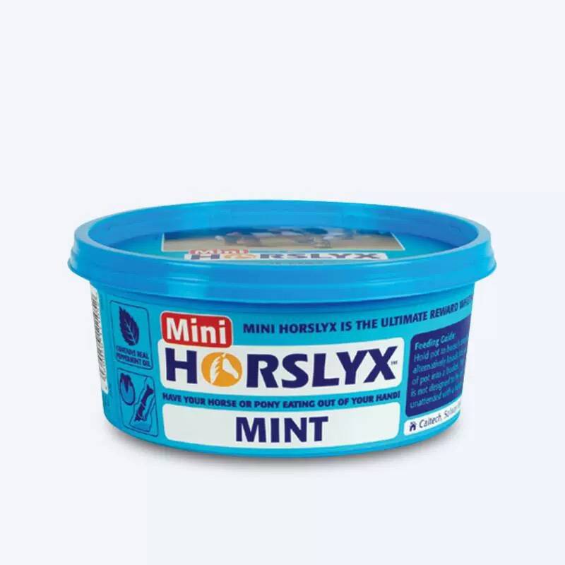 British horslyx horse licking bricks and licking sugar ore, sugar vitamin training reward snacks to enhance feelings