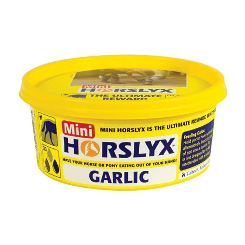British horslyx horse licking bricks and licking sugar ore, sugar vitamin training reward snacks to enhance feelings
