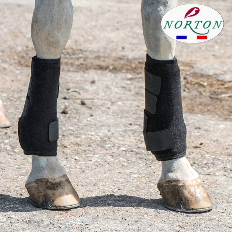 French Norton Equestrian Leg Lotus Cattermium Pirelli Patriotic Patriarchy Legs Available Tong -type ankle