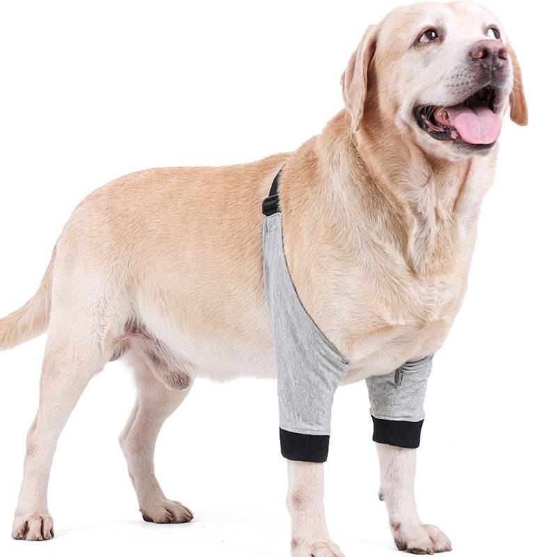 Dog front legs joint protective cover cover thigh elbow pown pet warm wound anti -wear anti -grinding water swelling protective gear