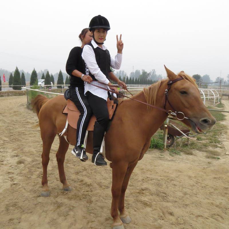 Horse helmets, leg gloves, horse boots, horsepowders, horsepowder equipment for boys and girls