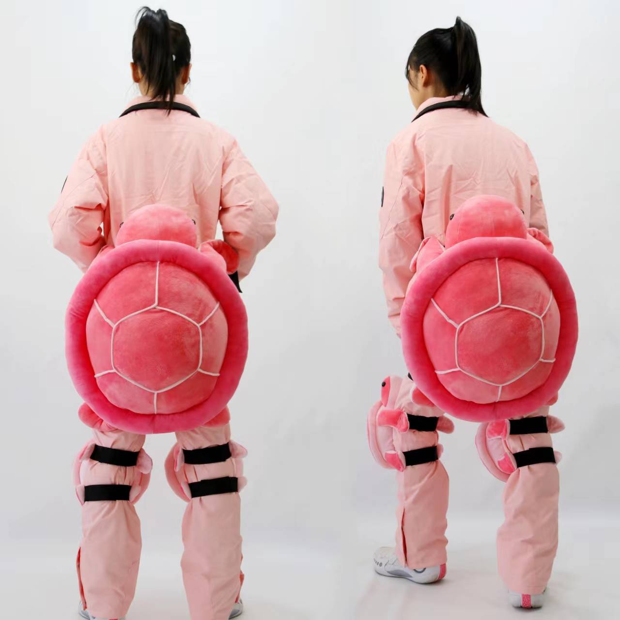 Pink turtle