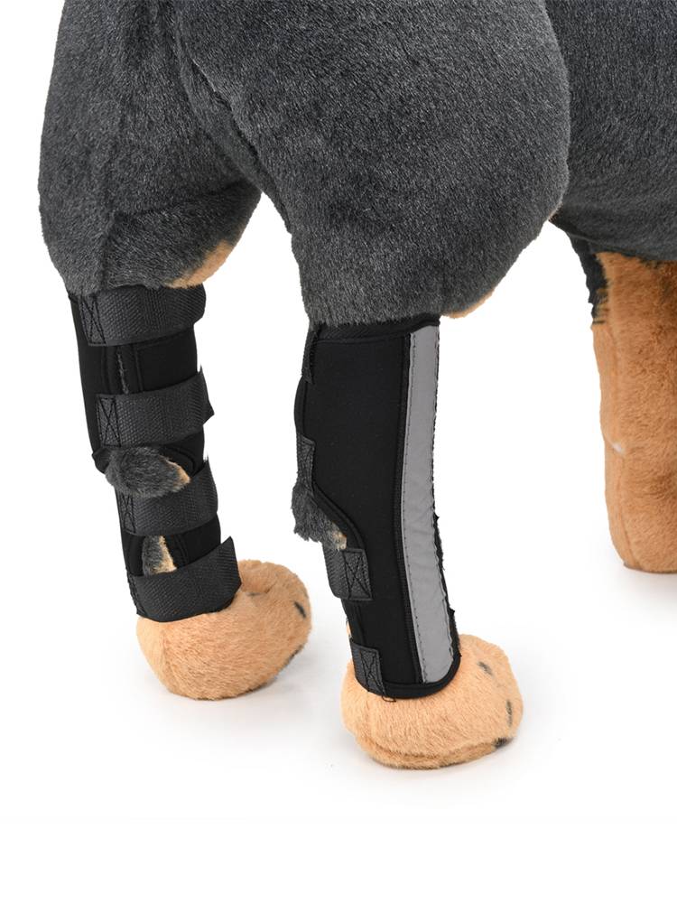 Dog's leg fracture fixing leg protection teddy golden hair protection legs to prevent licking surgery, rehabilitation bandage front and rear feet universal