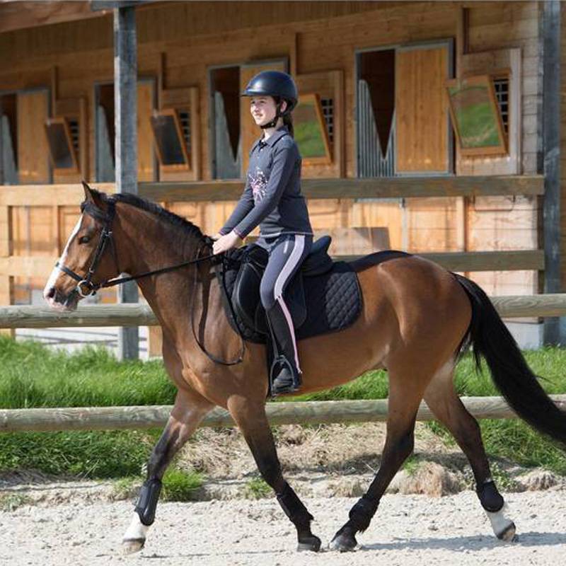 DECANON, STAIRWELL LEG-PROTECTIVE, PRO-STEAL, HORSE-STEALING, COZY OVHR