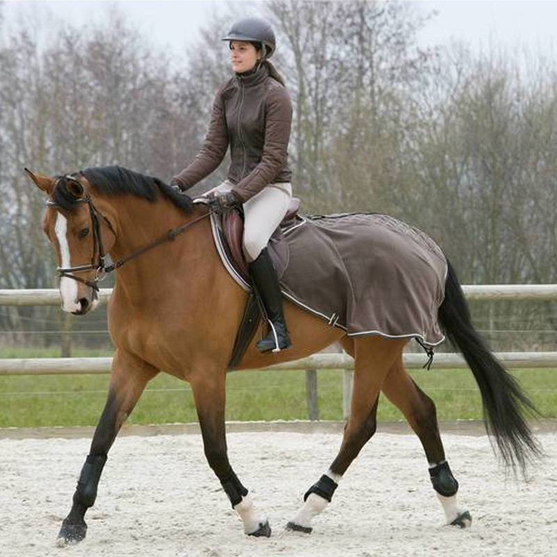 DECANON, STAIRWELL LEG-PROTECTIVE, PRO-STEAL, HORSE-STEALING, COZY OVHR