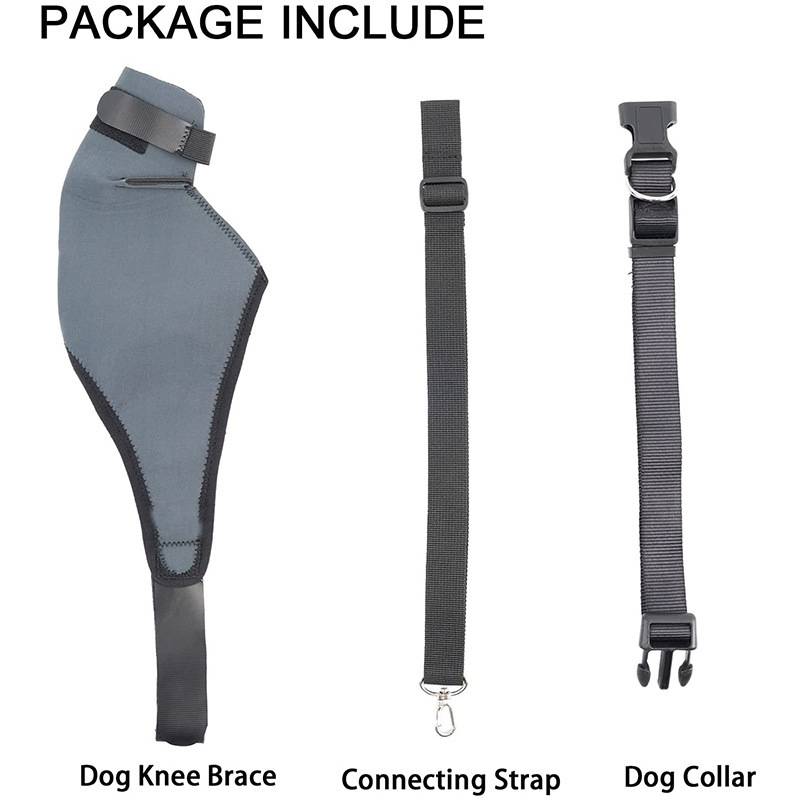 Pet protective dog hind leg injury assisted with dog knee guard knee care rehabilitation with leg joint injury surgery after leggings cover